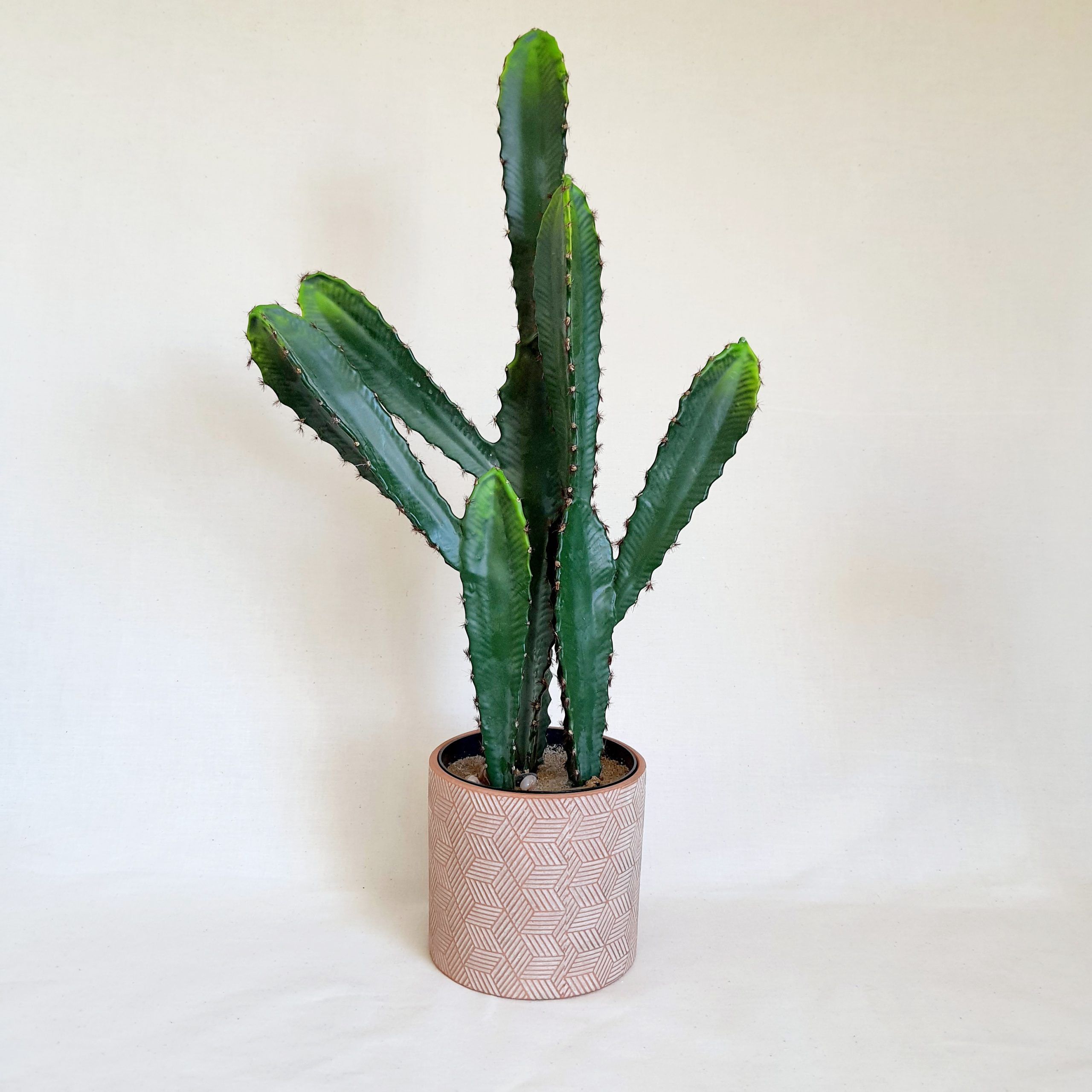 Artificial cactus plant – Hooga Homes | Home Decor